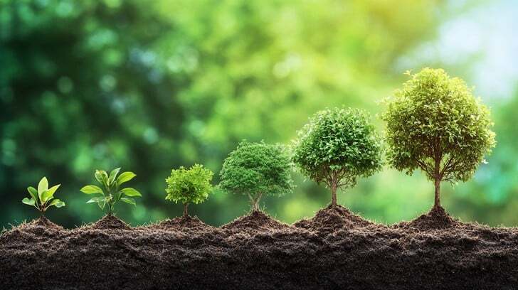 stages-of-growth-stockcake-2